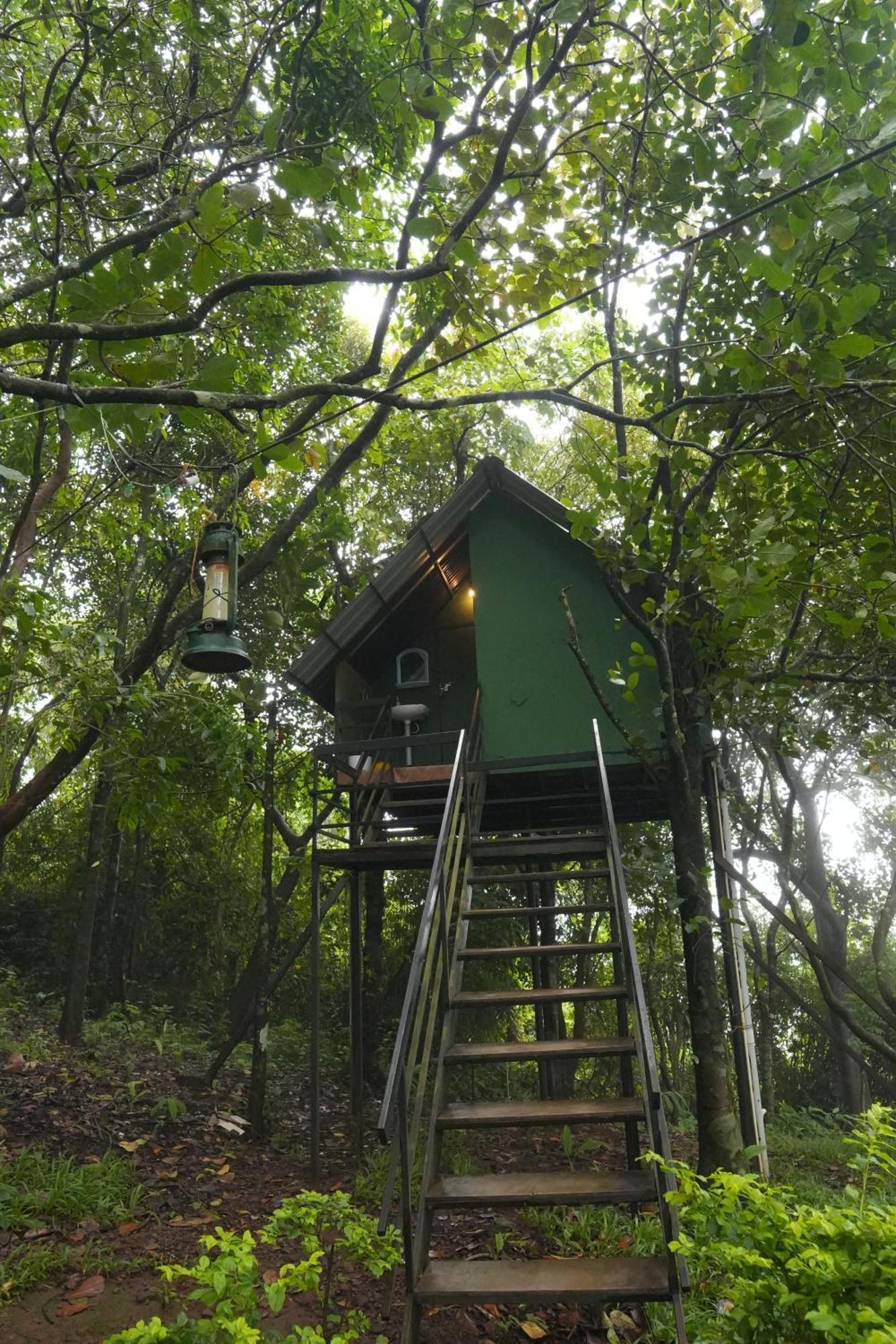 Paithalmala Regina Silva Camping & Nature Resort מראה חיצוני תמונה