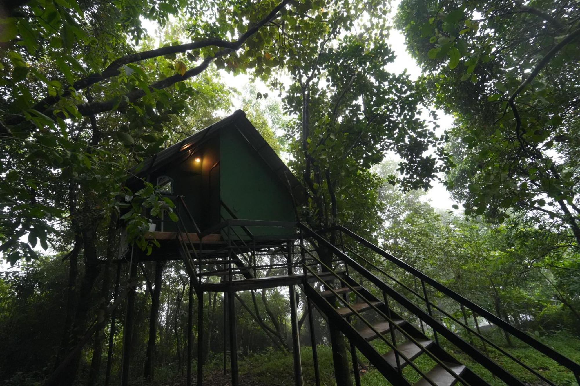 Paithalmala Regina Silva Camping & Nature Resort מראה חיצוני תמונה